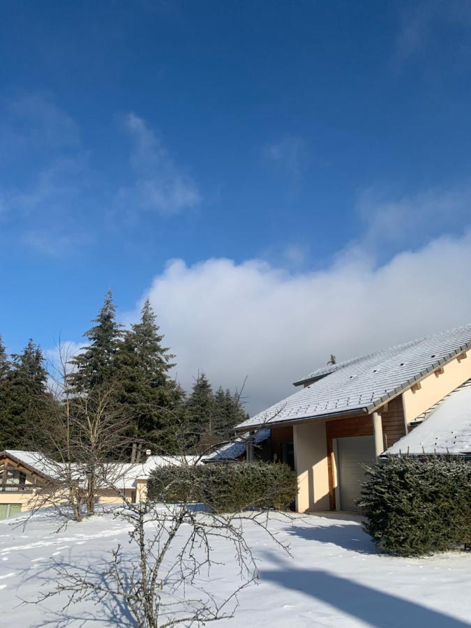 "Les Oiseaux" Avec Terrasse, Parking, Duplex Lägenhet Le Chambon-sur-Lignon Exteriör bild