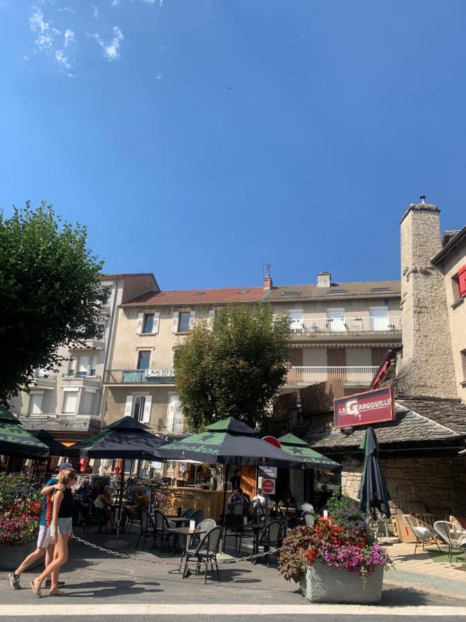 "Les Oiseaux" Avec Terrasse, Parking, Duplex Lägenhet Le Chambon-sur-Lignon Exteriör bild