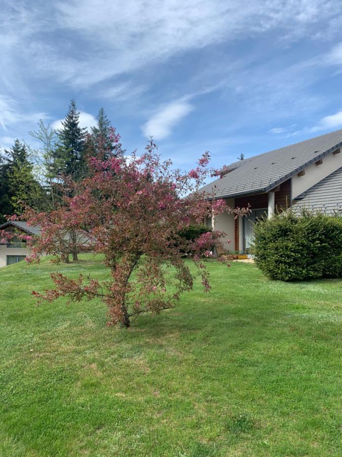 "Les Oiseaux" Avec Terrasse, Parking, Duplex Lägenhet Le Chambon-sur-Lignon Exteriör bild