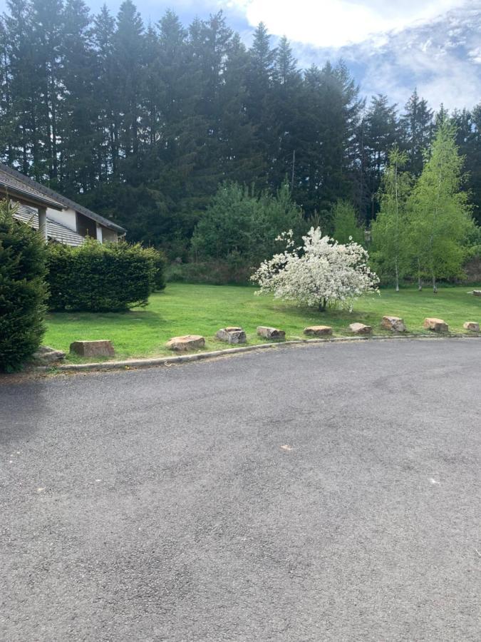 "Les Oiseaux" Avec Terrasse, Parking, Duplex Lägenhet Le Chambon-sur-Lignon Exteriör bild